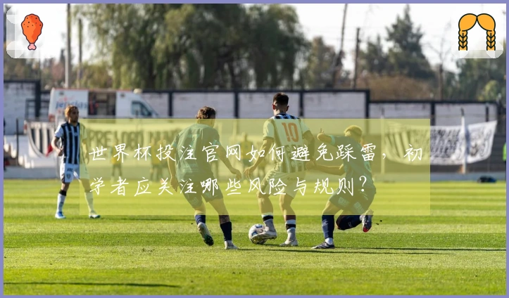 世界杯投注官网如何避免踩雷，初学者应关注哪些风险与规则？