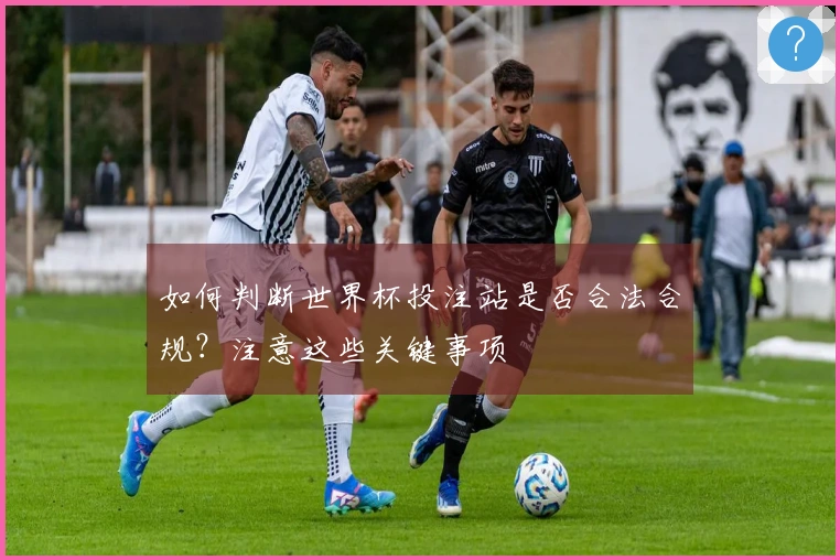 如何判断世界杯投注站是否合法合规？注意这些关键事项
