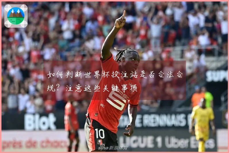如何判断世界杯投注站是否合法合规?注意这些关键事项