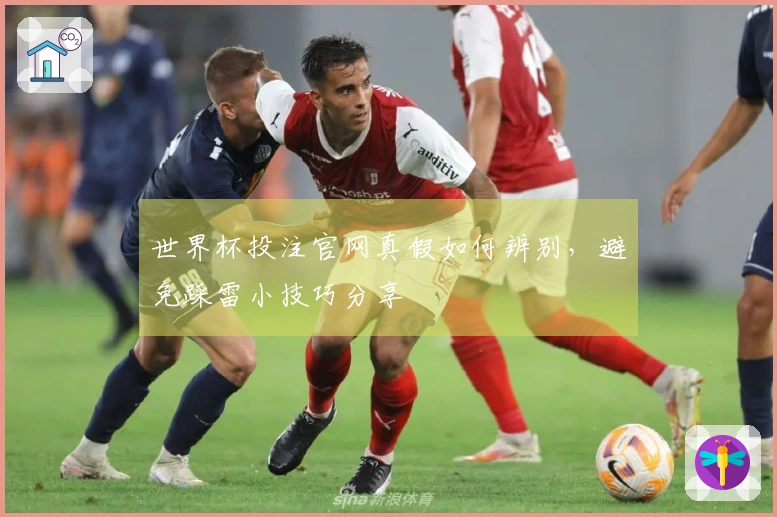 世界杯投注官网真假如何辨别，避免踩雷小技巧分享