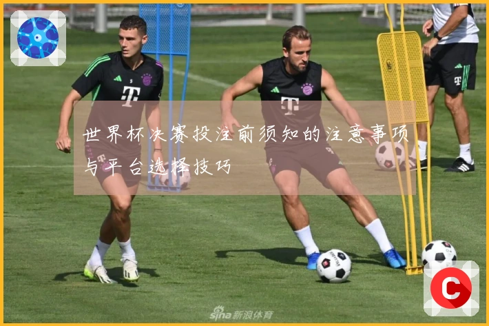世界杯决赛投注前须知的注意事项与平台选择技巧