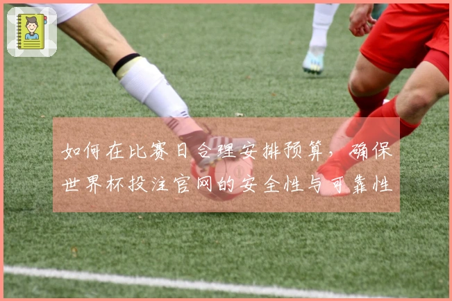 如何在比赛日合理安排预算,确保世界杯投注官网的安全性与可靠性