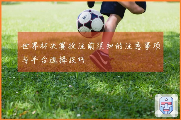 世界杯决赛投注前须知的注意事项与平台选择技巧