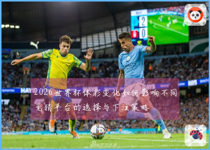 2026世界杯体彩变化如何影响不同竞猜平台的选择与下注策略
