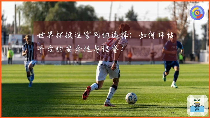世界杯投注官网的选择：如何评估平台的安全性与信誉？