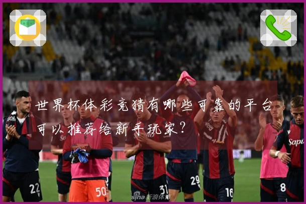 世界杯体彩竞猜有哪些可靠的平台可以推荐给新手玩家?