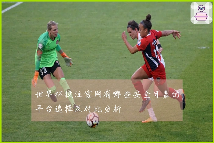 世界杯投注官网有哪些安全可靠的平台选择及对比分析