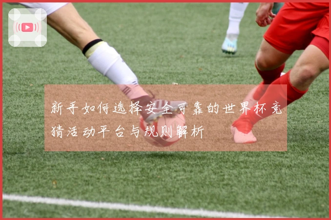 新手如何选择安全可靠的世界杯竞猜活动平台与规则解析