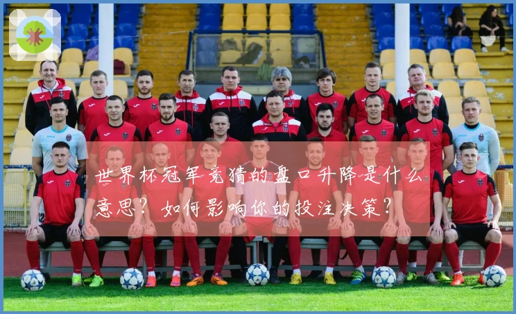 世界杯冠军竞猜的盘口升降是什么意思？如何影响你的投注决策？