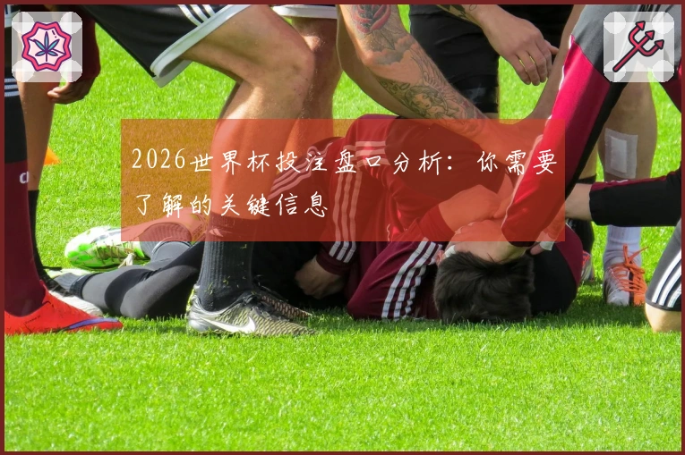 2026世界杯投注盘口分析：你需要了解的关键信息