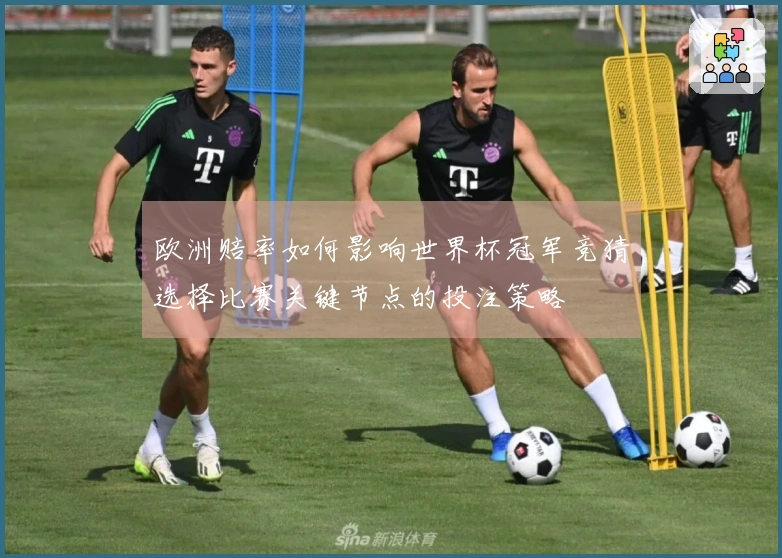 欧洲赔率如何影响世界杯冠军竞猜选择比赛关键节点的投注策略