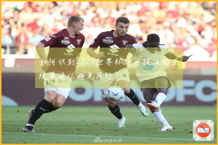 如何识别2026世界杯官方投注的正规渠道以避免风险？