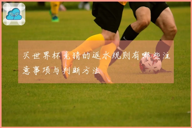 买世界杯竞猜的返水规则有哪些注意事项与判断方法