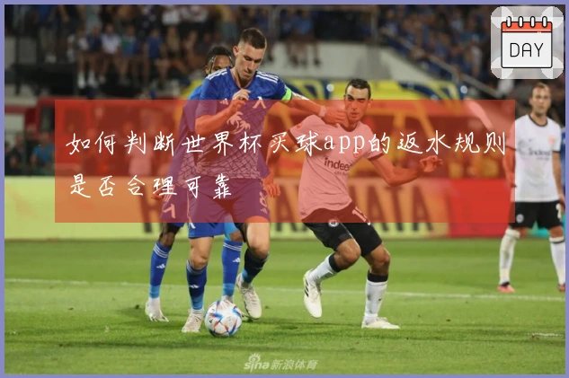 如何判断世界杯买球app的返水规则是否合理可靠