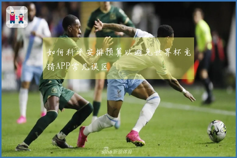如何科学安排预算以避免世界杯竞猜APP常见误区