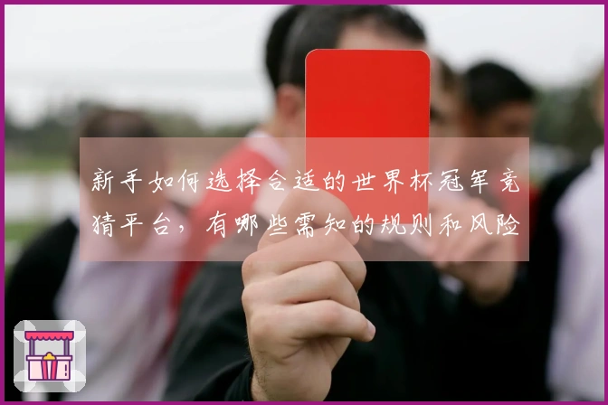新手如何选择合适的世界杯冠军竞猜平台，有哪些需知的规则和风险？