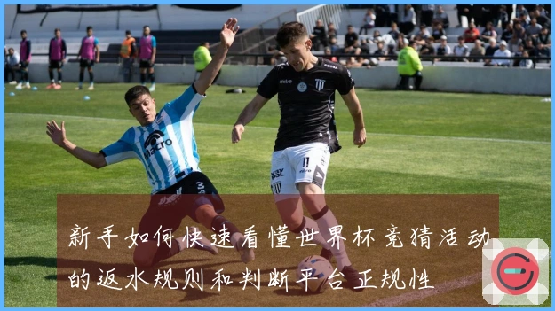 新手如何快速看懂世界杯竞猜活动的返水规则和判断平台正规性