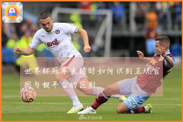 世界杯冠军竞猜时如何识别正规官网与假平台的区别