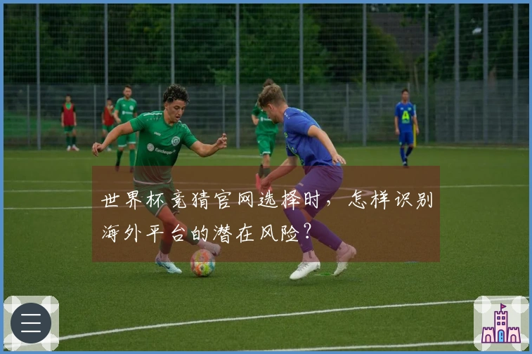世界杯竞猜官网选择时,怎样识别海外平台的潜在风险?