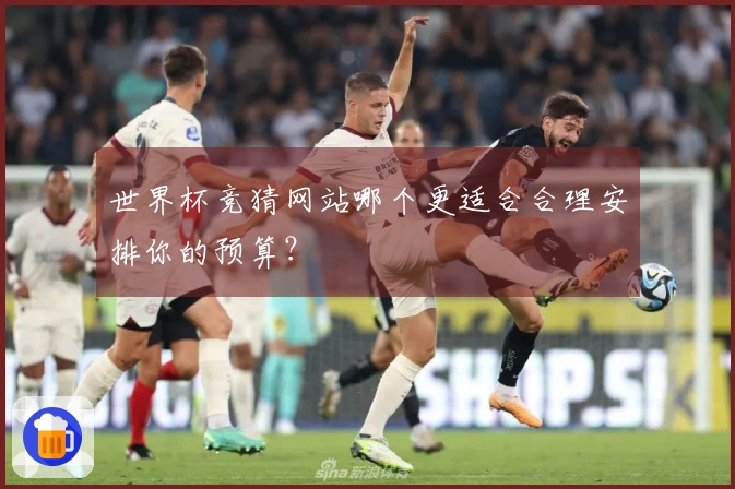 世界杯竞猜网站哪个更适合合理安排你的预算？