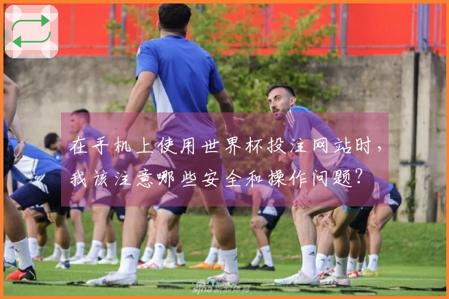 在手机上使用世界杯投注网站时，我该注意哪些安全和操作问题？