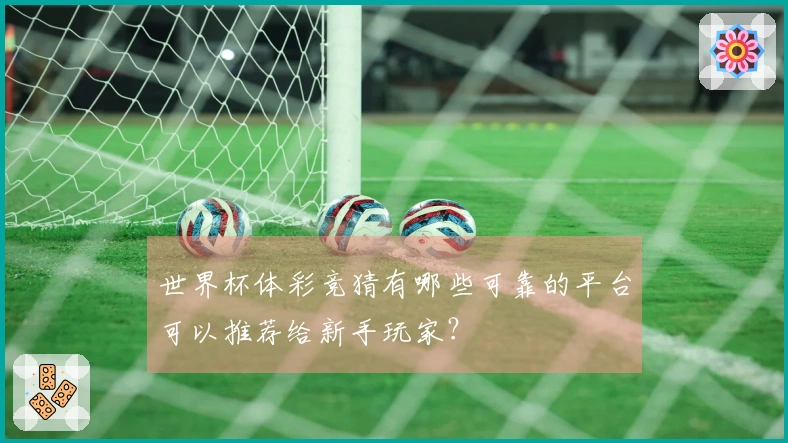 世界杯体彩竞猜有哪些可靠的平台可以推荐给新手玩家？