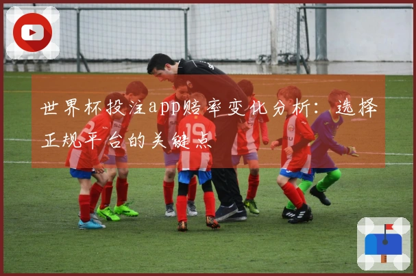 世界杯投注app赔率变化分析:选择正规平台的关键点