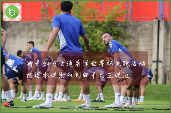 新手如何快速看懂世界杯竞猜活动的返水规则和判断平台正规性