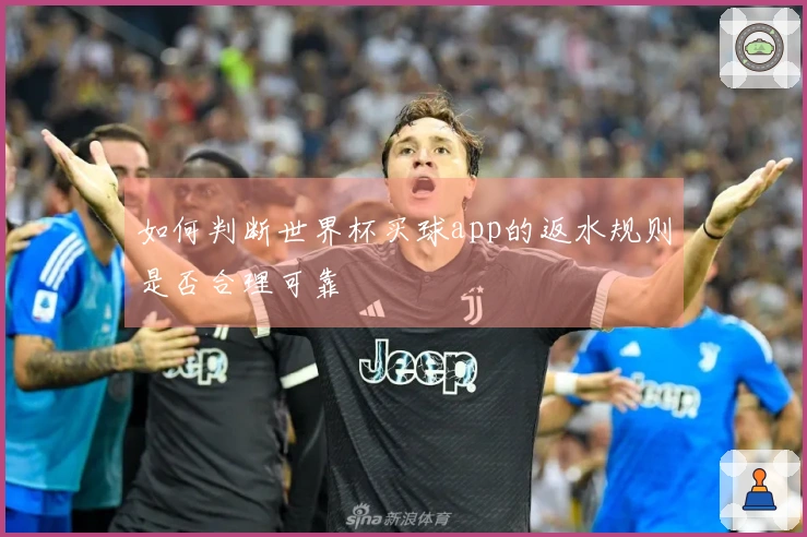 如何判断世界杯买球app的返水规则是否合理可靠