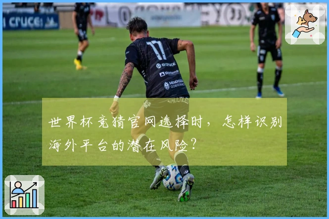 世界杯竞猜官网选择时，怎样识别海外平台的潜在风险？