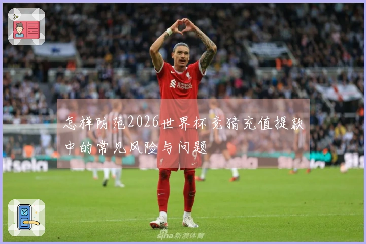 怎样防范2026世界杯竞猜充值提款中的常见风险与问题