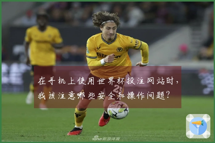 在手机上使用世界杯投注网站时，我该注意哪些安全和操作问题？