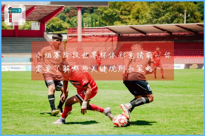 小组赛阶段世界杯体彩竞猜前，你需要了解哪些关键规则和策略