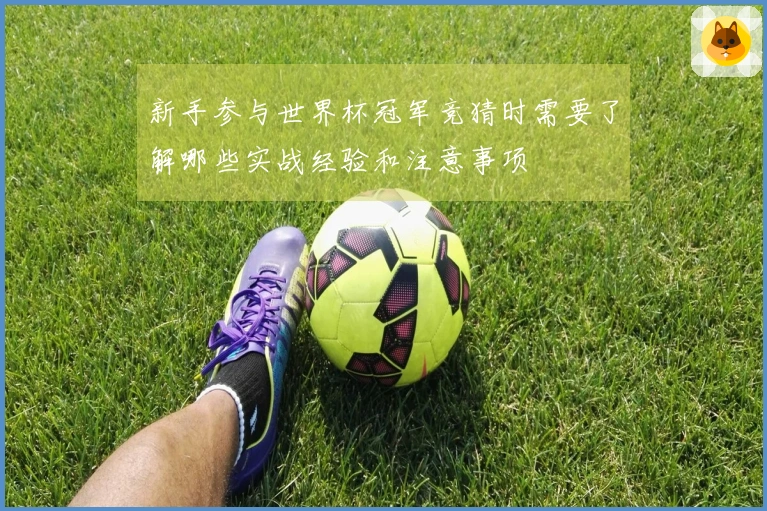 新手参与世界杯冠军竞猜时需要了解哪些实战经验和注意事项