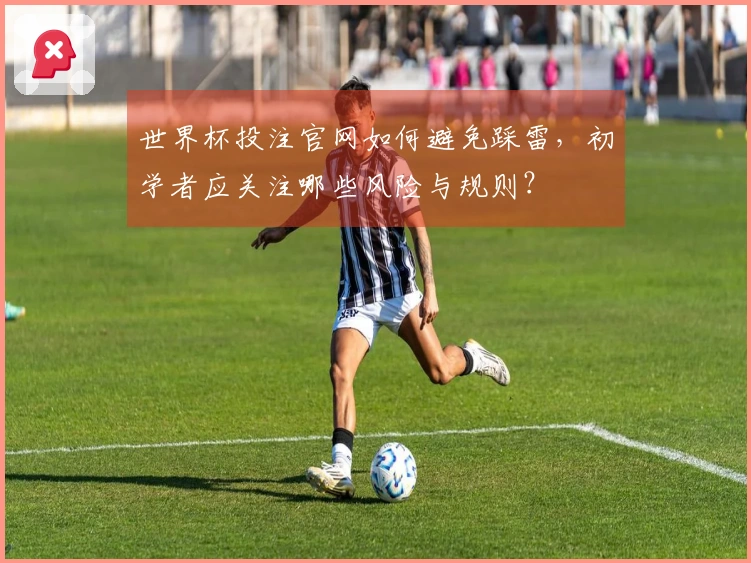 世界杯投注官网如何避免踩雷,初学者应关注哪些风险与规则?