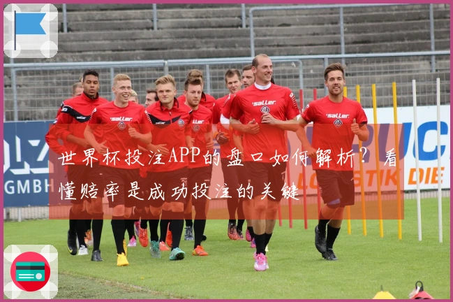 世界杯投注APP的盘口如何解析?看懂赔率是成功投注的关键
