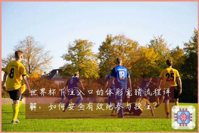 世界杯下注入口的体彩竞猜流程详解，如何安全有效地参与投注？