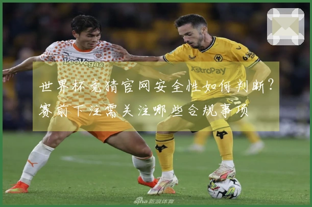 世界杯竞猜官网安全性如何判断?赛前下注需关注哪些合规事项
