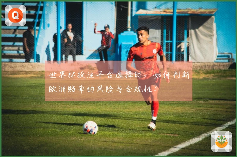 世界杯投注平台选择时,如何判断欧洲赔率的风险与合规性?