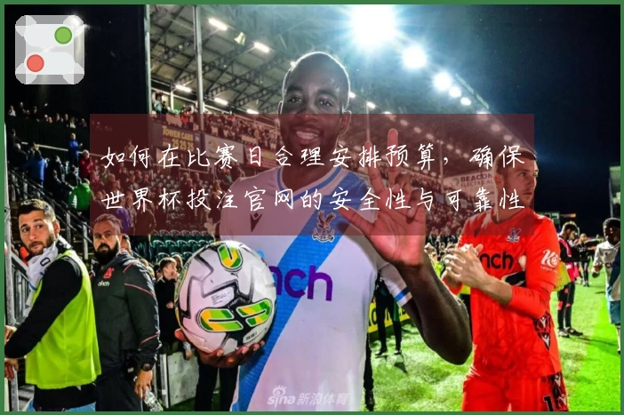 如何在比赛日合理安排预算，确保世界杯投注官网的安全性与可靠性